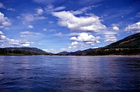 All the woods have been logged for the steamboats at the beginning of the century