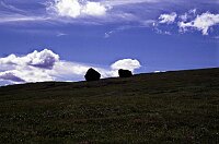 Hiking in Denali Natl. Park