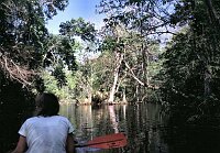 Jungle Trip with a canoe at Wekiva River
