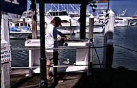 Key West, fresh fish