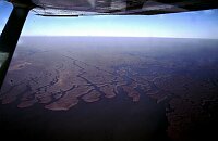 Back over the Everglades