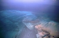 Along Great Bahama Island