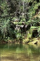 Tasman Abel Trail, Torrent River