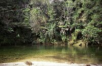 Tasman Abel Trail, Torrent River