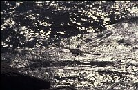 Tasman Abel Trail, Shag starting off