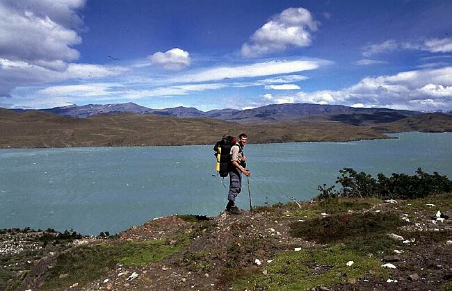 Hinne S�damerika 2001