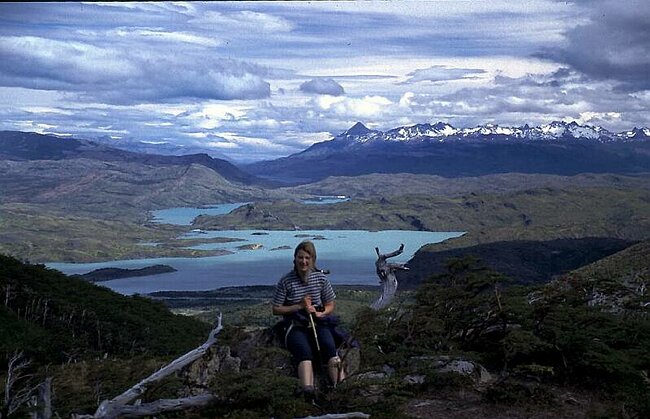 Hinne S�damerika 2001