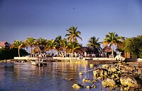 The Keys: Relaxing at the Taitiki Bar