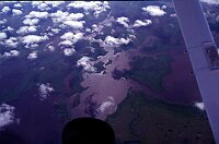 Everglades National Park: Alligators present! Better stay at 700ft...