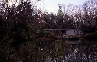 Haus und Garten mit See