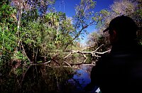Wekiva River