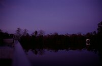 St. Johns River: Waiting for more  Alligators