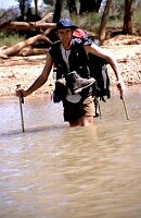 Heavy rainfall a couple of weeks ago caused all the creeks to run really high!
