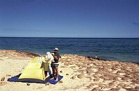 No big waves that night, just Killer crabs under the tent