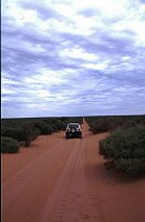 The Drive towards Shark Bay